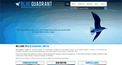 Desktop Screenshot of blue-quadrant.com